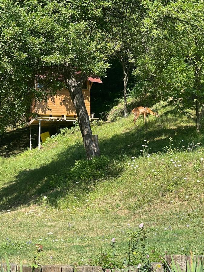 Sun House Otel Tryavna Dış mekan fotoğraf