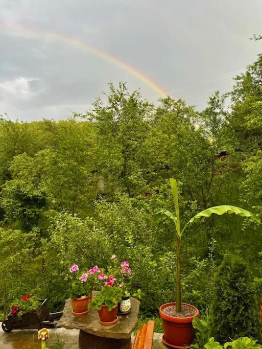 Sun House Otel Tryavna Dış mekan fotoğraf